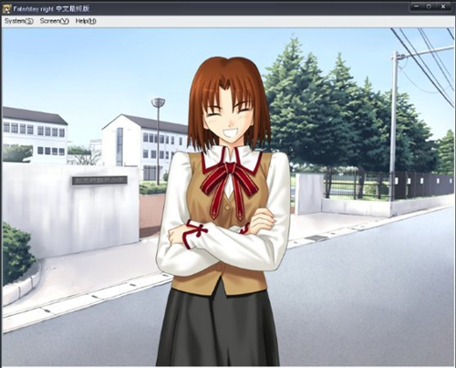 fate命运之夜汉化手机版下载