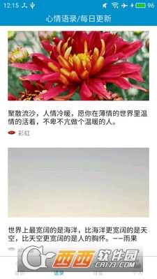 足球教学安卓版 3.6.1最新版