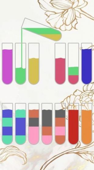 抖音水排序谜题攻略游戏手机版 截图0