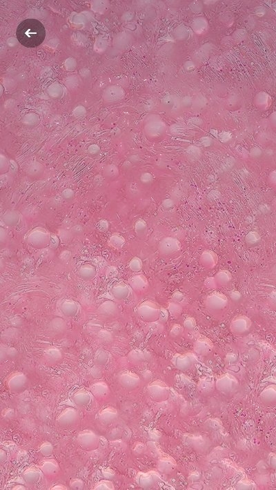 Fancy Slime(花式史莱姆最新版)截图1