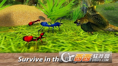 蚂蚁生存模拟器 v1.01 安卓版