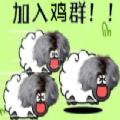 鸡了个鸡游戏