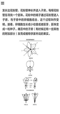 112632-20211109162507618a30631eea3.jpg