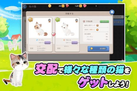 我的猫咪咖啡厅 2024-06-25 15:08