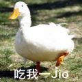抖音抓鸭子抓几只表情包