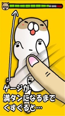 挠痒猫.jpg