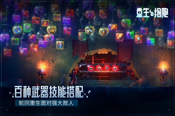 重生细胞无需付费版中文