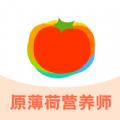 薄荷宝箱软件官方版 