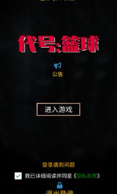 代号篮球截图2