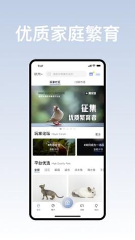 集宠区截图0