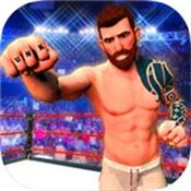 职业摔跤功夫格斗