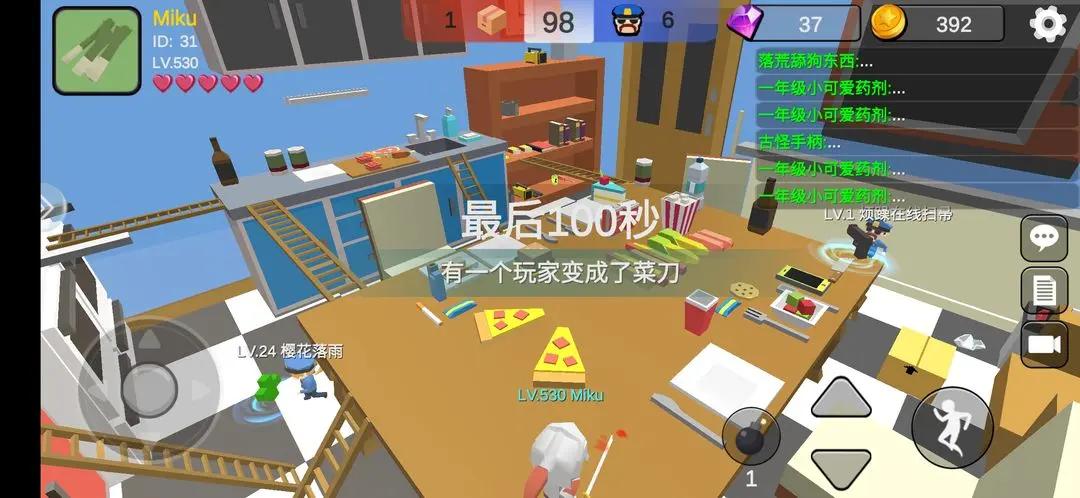 躲猫猫大乱斗
