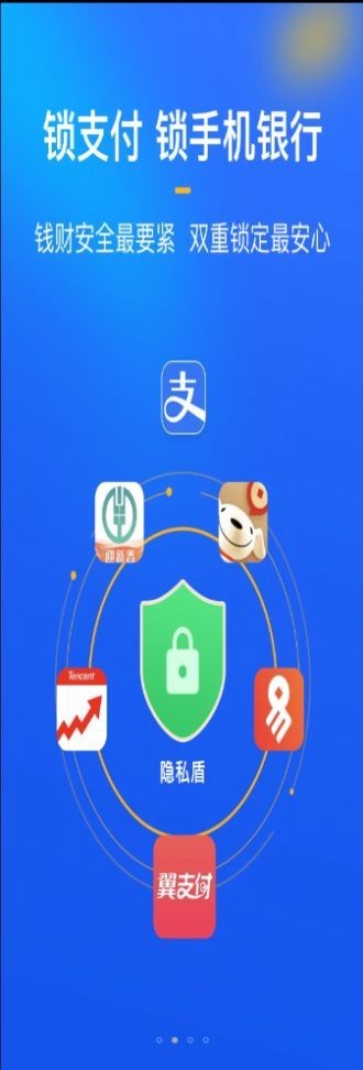 隐私盾截图0