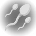 Fallopian Fighter游戏安卓版 