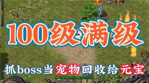 神月传奇爽速极品截图0