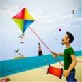 风筝战斗飞行3D游戏安卓版 