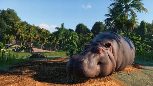 动物园之星豪华版中文最新版（Planet Zoo）  v5.3.1