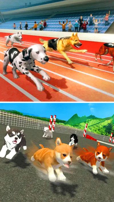 我的萌宠世界熊猫宝宝  v1.4.3