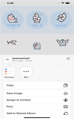 有猫爪