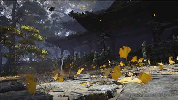 代号致金庸 2022-06-28 09:38