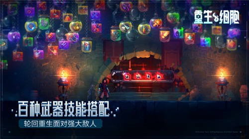 重生细胞免费版截图0