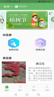 一花草.jpg