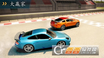 赛车手豪华版手游 v1.0 安卓版