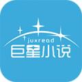 巨星小说