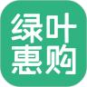 绿叶惠购最新版本下载安装