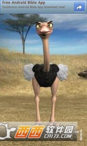 Talking Joe Ostrich(会说话的鸵鸟) v2.27.0