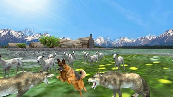 牧羊犬动物3D.jpg