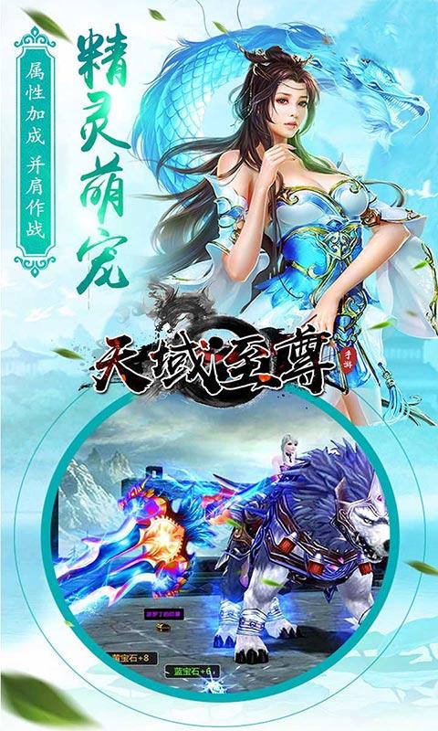 天域至尊截图1