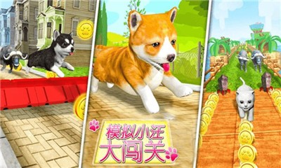 超级小汪大闯关  v1.0