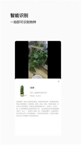 唞蜗截图0
