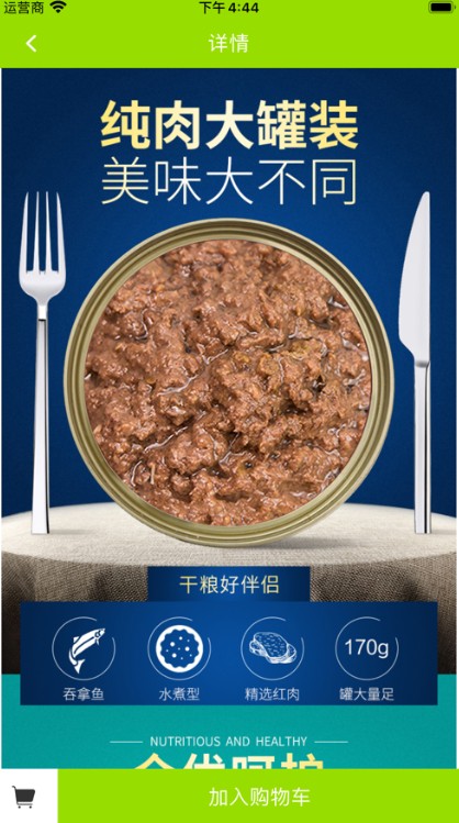 猫猫之家