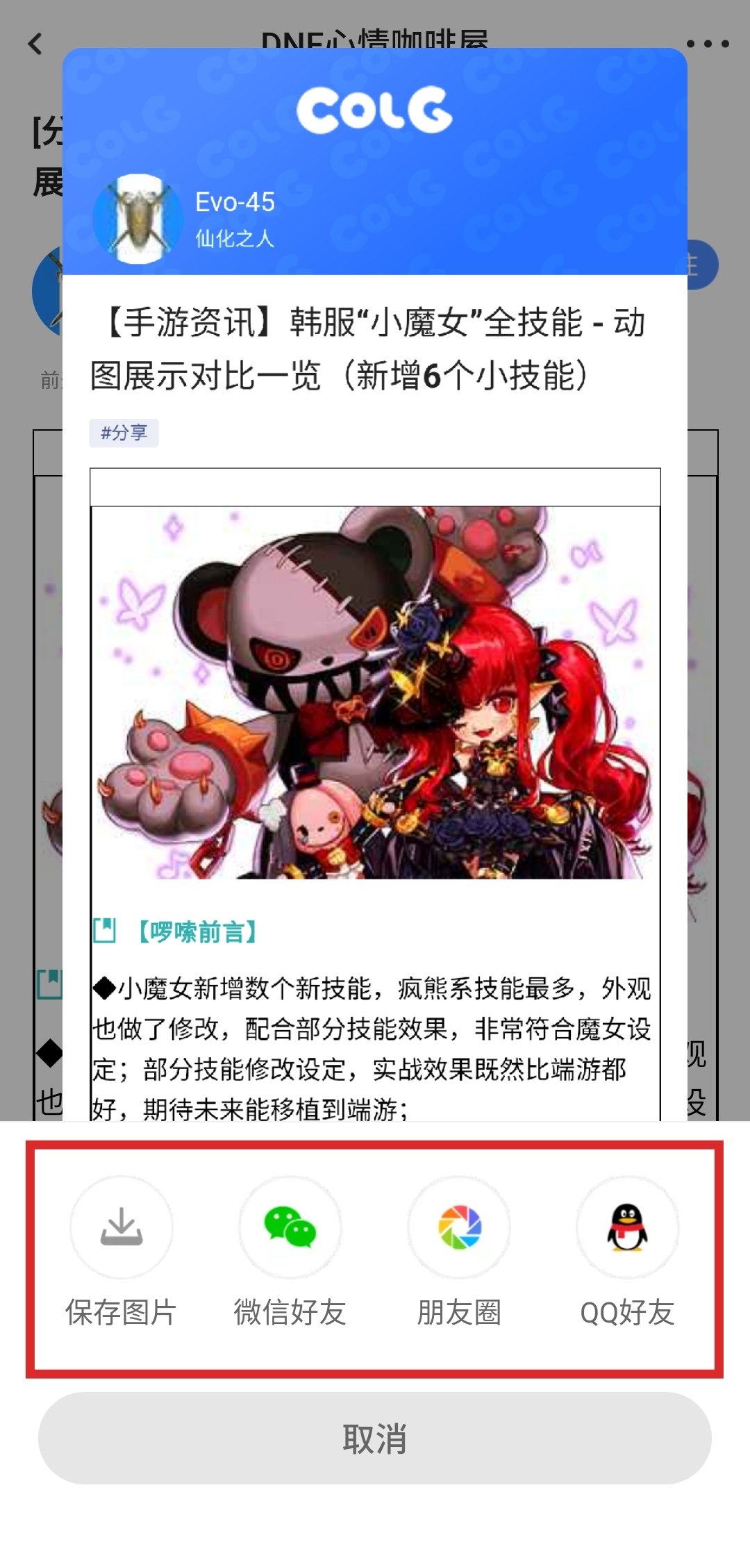 Colg玩家社区app