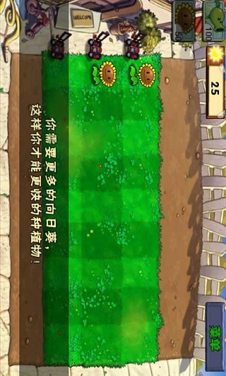 植物大战僵尸 手机版截图1