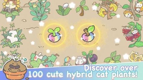 我的猫咪盆栽截图2