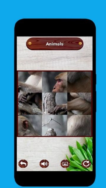 Animal Picture Making Puzzle(动物图片拼图)截图2