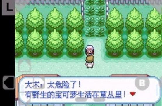 口袋妖怪火红安卓版  v1.8