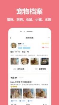 宠物王国截图2
