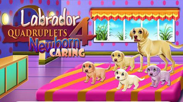 拉布拉多四胞胎新生儿护理 v3.0.5
