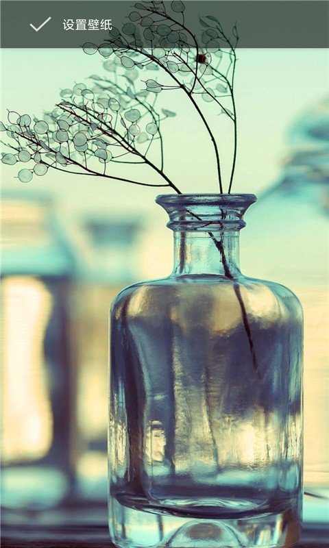 萤火视频壁纸 版本：v6.12