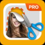 Pro Knockout破解版