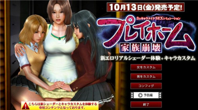 playhome 人物mod截图0