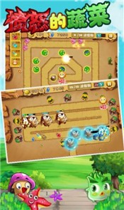 愤怒的蔬菜 2024-06-25 15:08