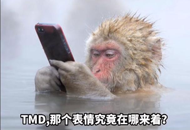 一生一柿情侣头像无水印原图 .png