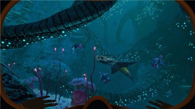 海底求生 2024-06-25 15:08