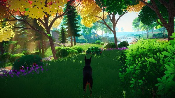 浮浪岛的危险人生 2024-06-25 15:08