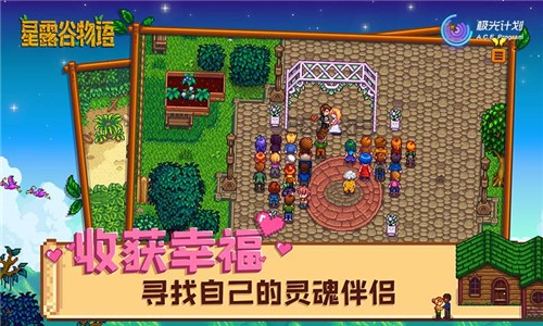 星露谷物语 复古美化版截图0